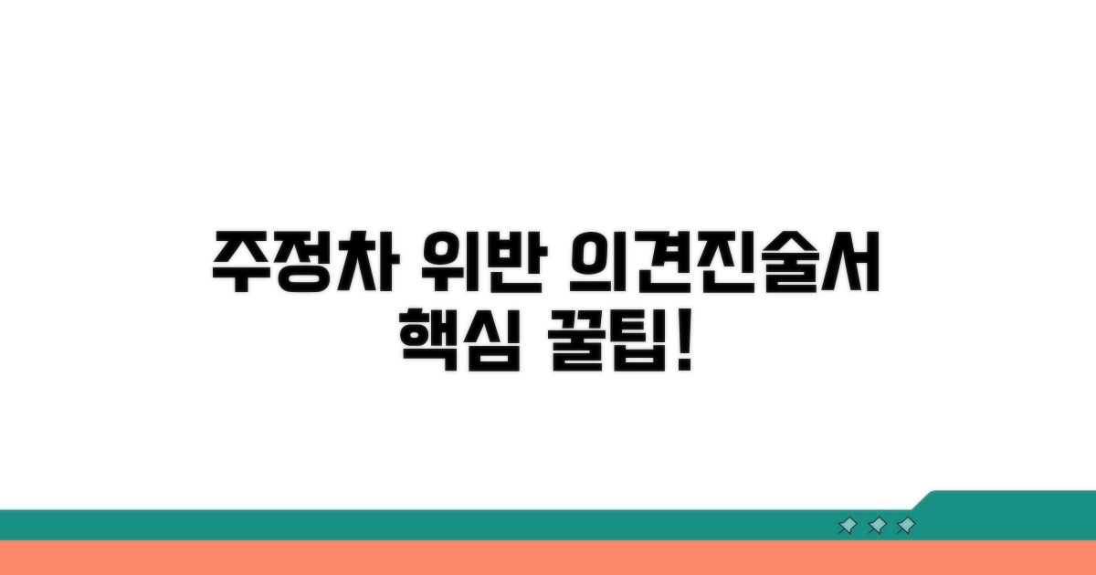 주정차 위반 의견진술서 핵심 정보