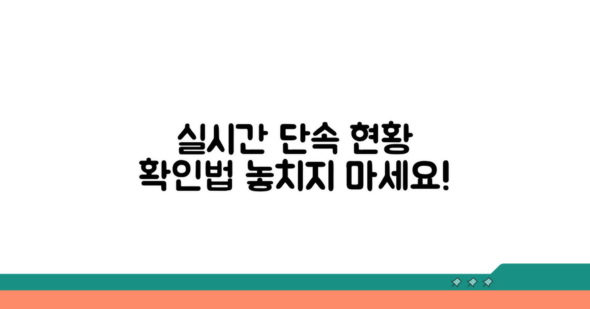 실시간 단속 현황 확인 방법