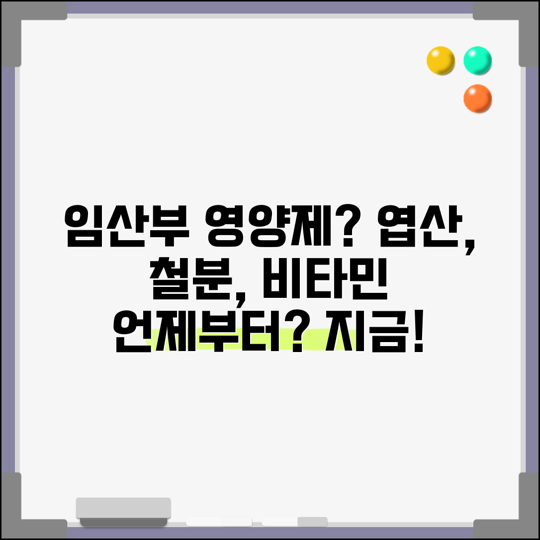 임신 중 영양제 엽산 철분 비타민 복용 | 임산부 영양제 섭취 시기, 언제부터?
