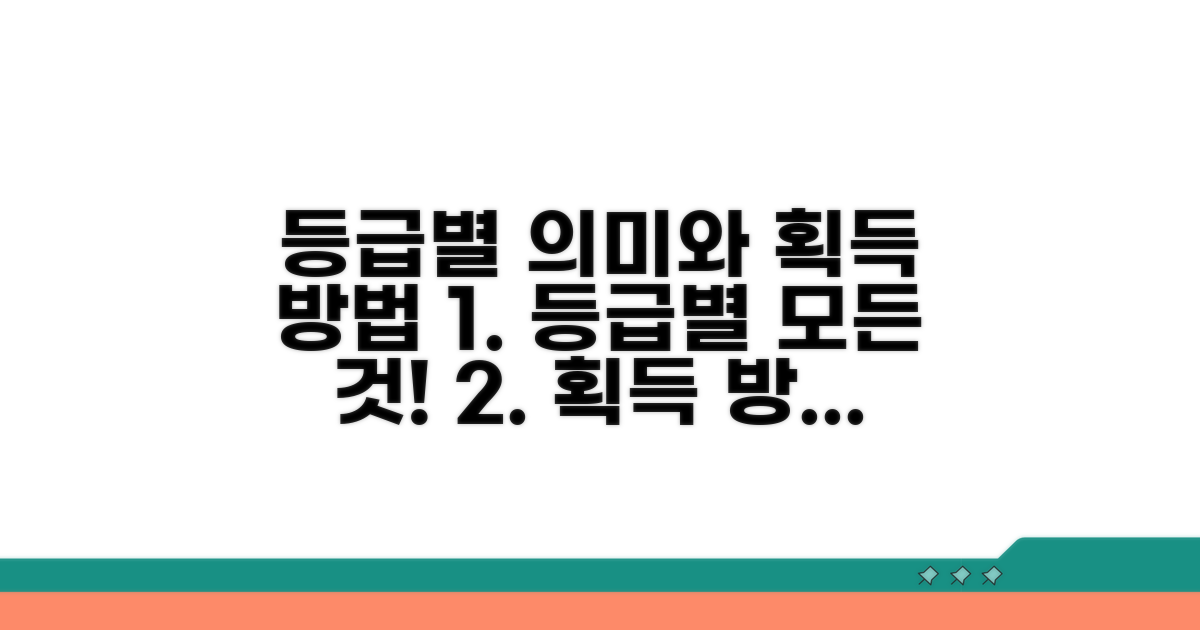 등급별 의미와 획득 방법