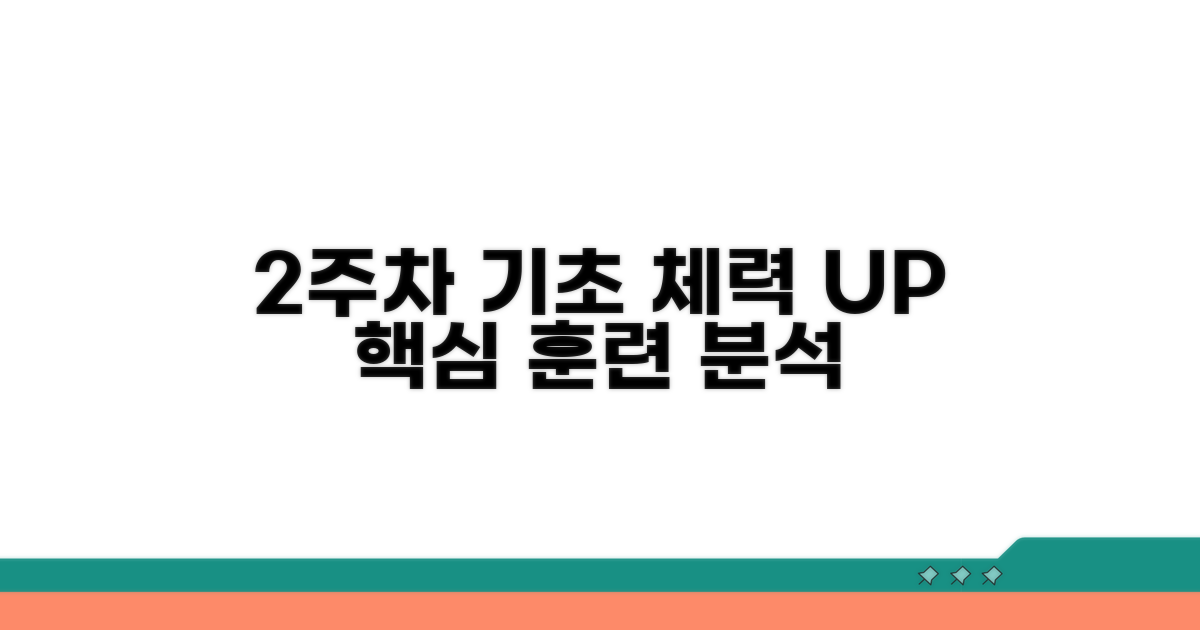 2주차 기초 체력 훈련 집중 분석