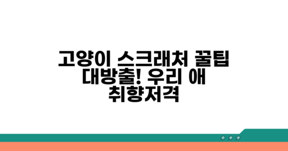 우리 고양이에게 맞는 스크래처 고르기