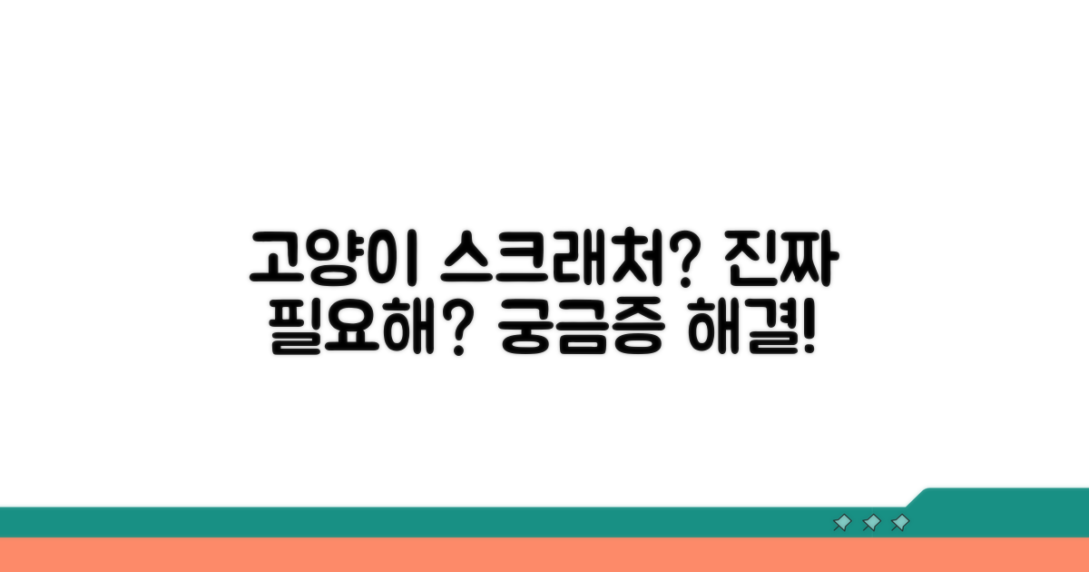 고양이 스크래처, 정말 필요할까?