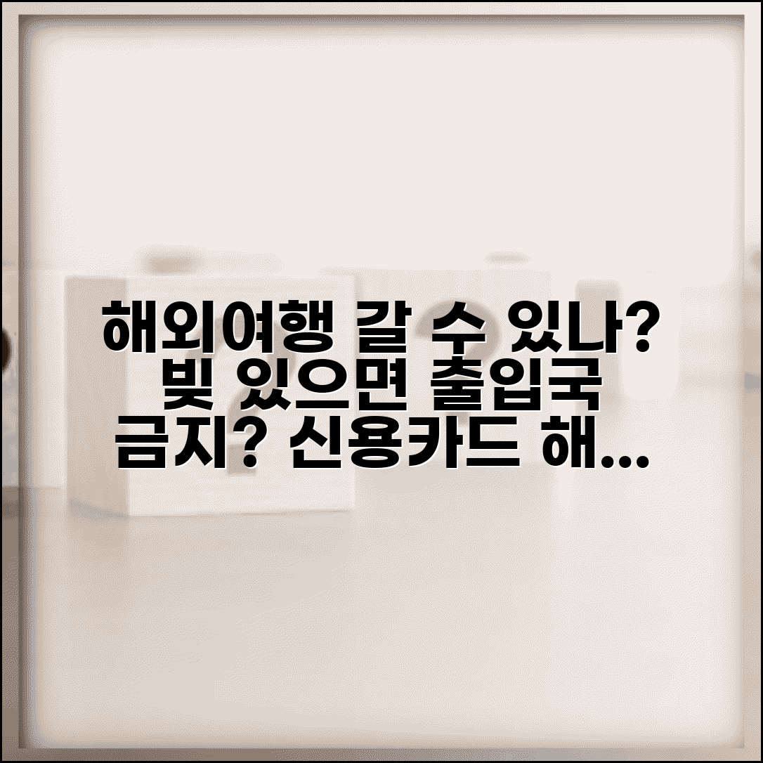 연체중 해외여행 막히나 | 연체 상태 출입국 제한 여부와 신용카드 해외 결제