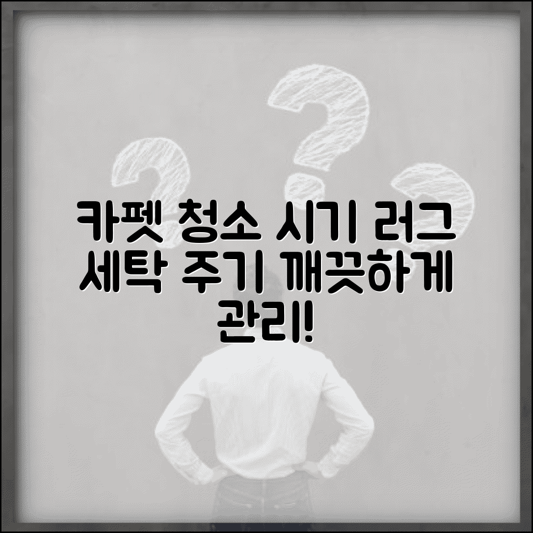 카펫 청소 시기 언제 하는지 | 러그 카펫 세탁 적정 주기