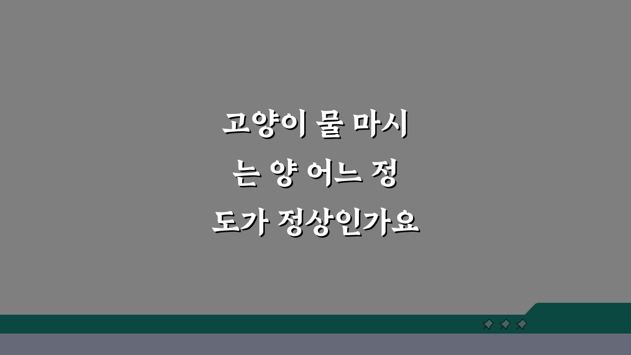 고양이 물 마시는 양 어느 정도가 정상인가요? 신장질환 놓치지 않는 건강체크