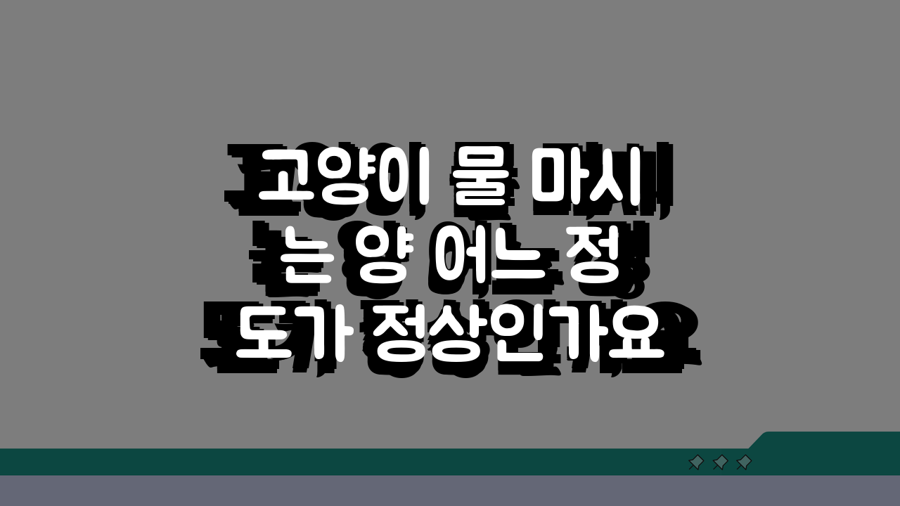 고양이 물 마시는 양 어느 정도가 정상인가요? 신장질환 놓치지 않는 건강체크