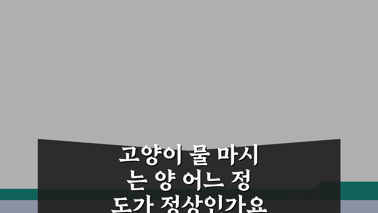 고양이 물 마시는 양 어느 정도가 정상인가요? 신장질환 놓치지 않는 건강체크