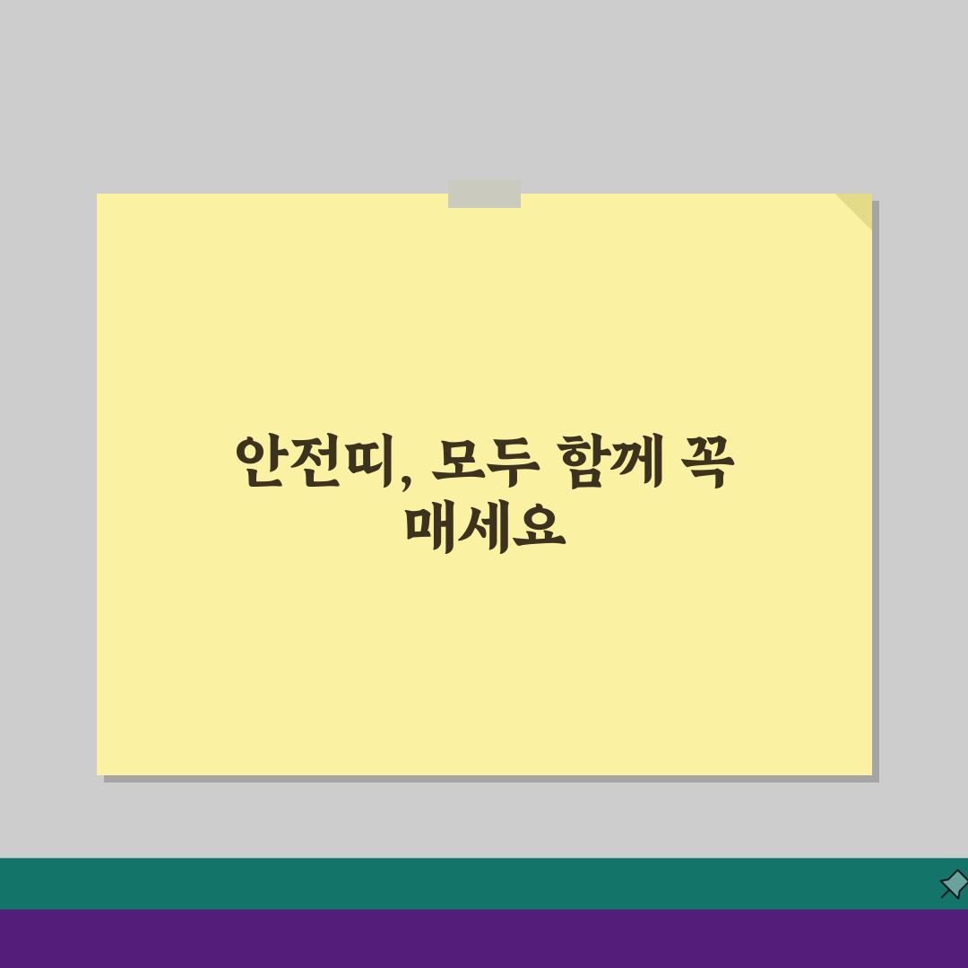 안전띠 단속시간 전 좌석, 전 좌석 안전띠 착용 의무 단속과 과태료 부과 핵심 총정리